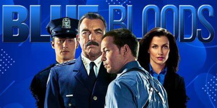 8 Shows Like Blue Bloods to Watch if You Like Blue Bloods