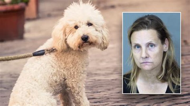 
80-Year-Old Mom Mauled to Death by Daughter’s 3 Pit Bulls Who Had History of Killing Family Pets: Cops 