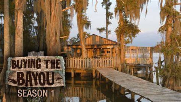 A House on the Bayou - Cast, Ages, Trivia