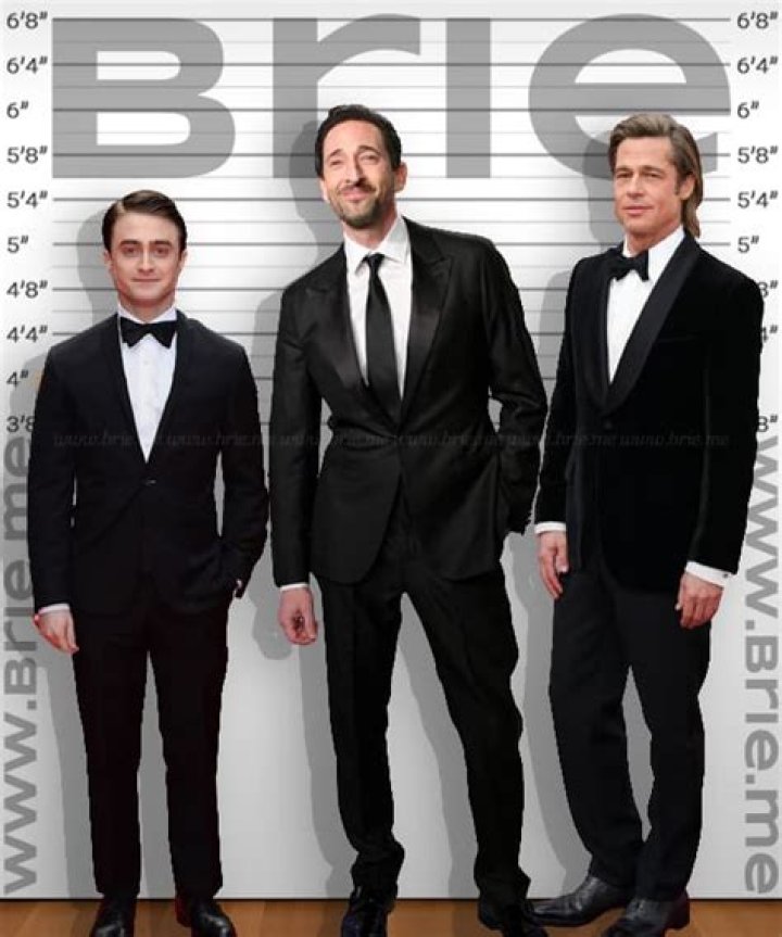 Adrien Brody Height, Weight, Net Worth, Age, Birthday, Wikipedia, Who, Nationality, Biography
