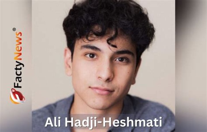 Ali Hadji-Heshmati Height, Weight, Net Worth, Age, Birthday, Wikipedia, Who, Nationality, Biography