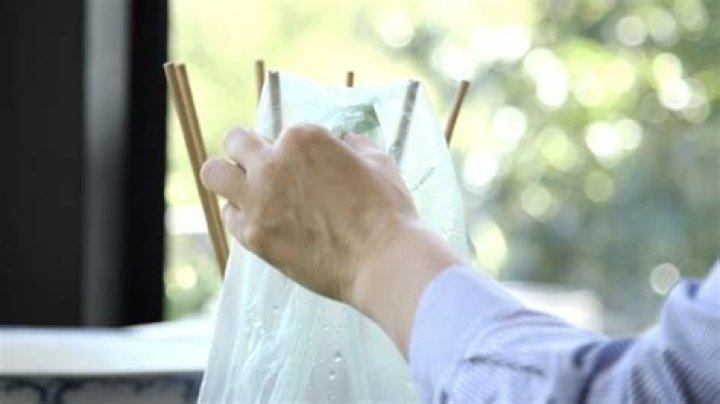 Alicia Silverstone washes & reuses plastic bags, never uses paper towels