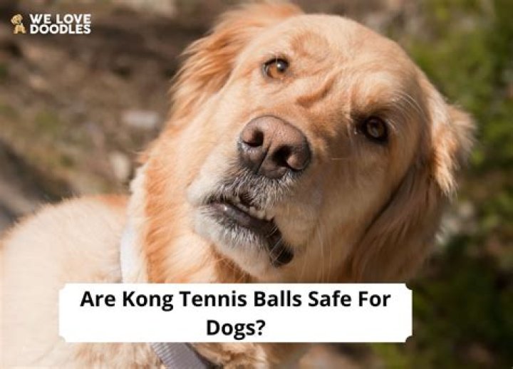 Are Kong tennis balls safe for dogs?