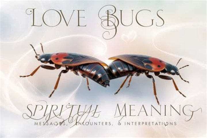 Are love bugs and lightning bugs the same?