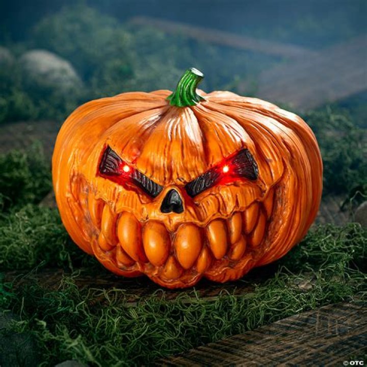 Are mini pumpkins hollow?
