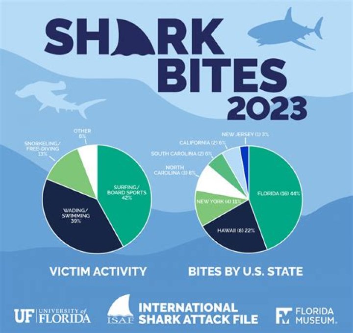 Are there many shark attacks in the Caribbean?