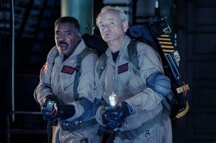 Bill Murray photo 3