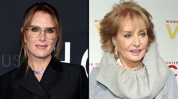 Brooke Shields calls Barbara Walters’ interview with her as a teen ‘practically criminal’