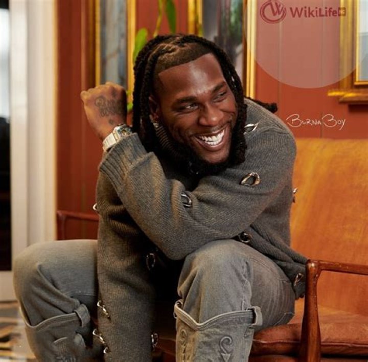 
Burna Boy Age, Birthday, Wikipedia, Who, Nationality, Biography 