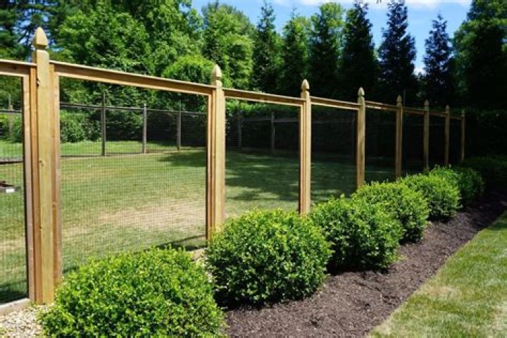 Can Elk jump a fence?