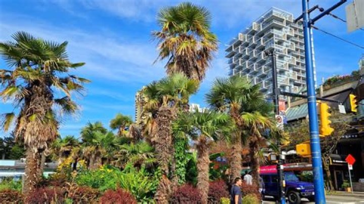 Can palm trees grow in Vancouver?