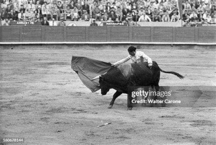 Carlos Arruza photo 2