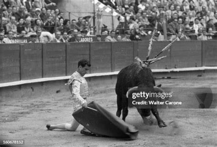 Carlos Arruza photo 3