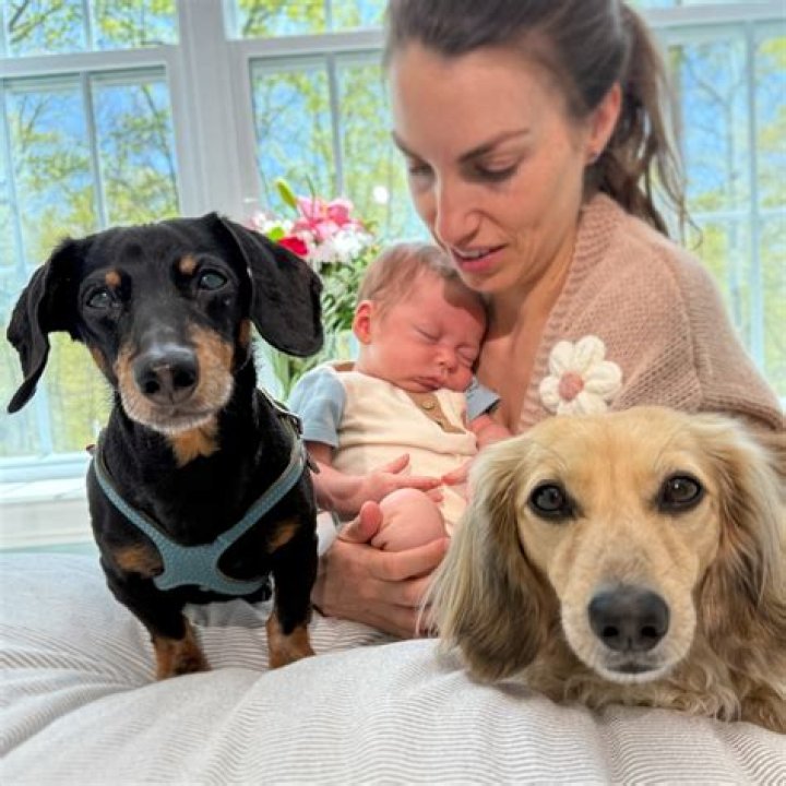 Crusoe the Celebrity Dachshund - Age, Family, Bio