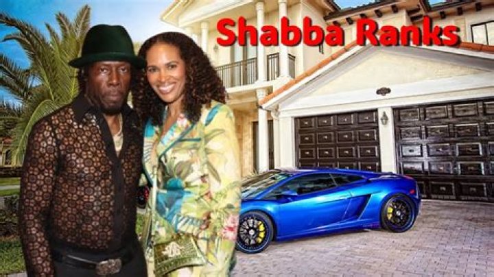 Dan Shaba - Age, Family, Bio