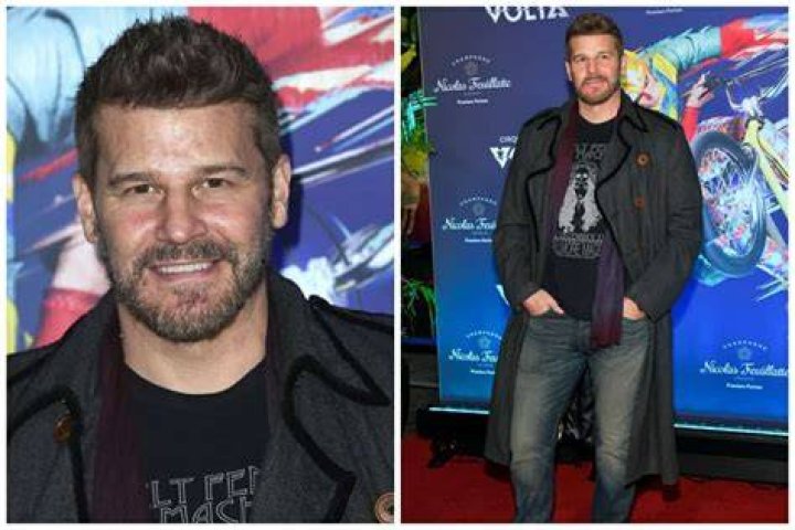 David Boreanaz net worth, age, height, wife, biography, what nationality is David Boreanaz?