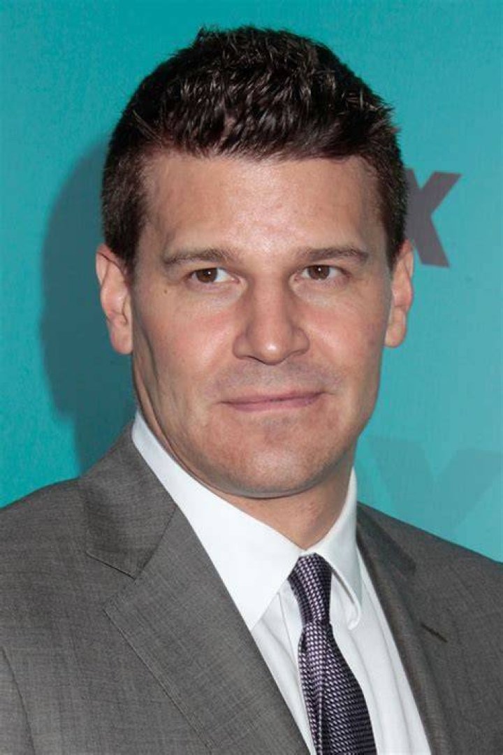 Ingrid Quinn: bio, age, ex-husband, net worth, divorce, children! David Boreanaz