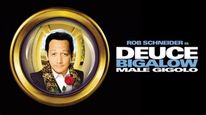 Deuce Bigalow: Male Gigolo | Famous Birthdays