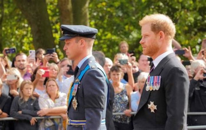 
Did Prince William serve in the military? Everything to know as Prince Harry claims he killed 25 Taliban fighters 