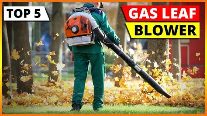 Do leaf blowers use mixed gas?