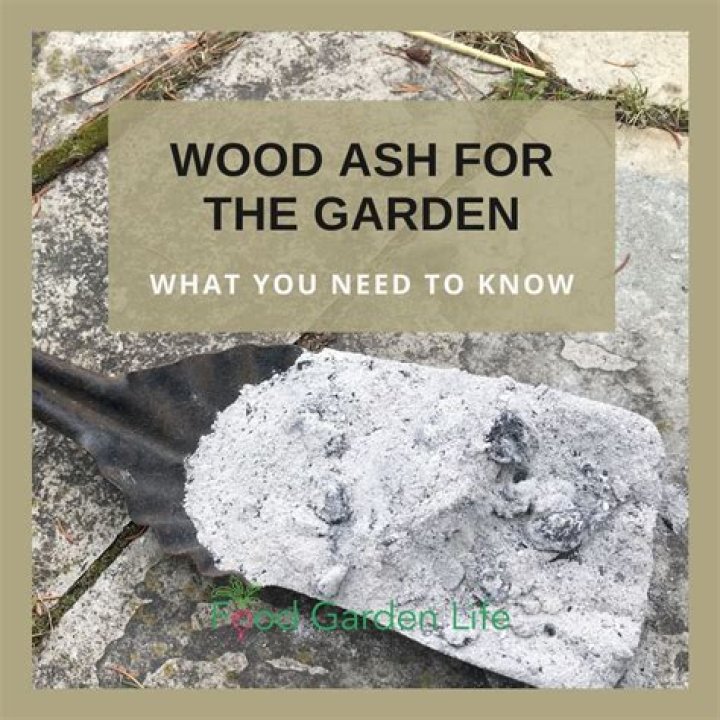 Do peppers like wood ash?
