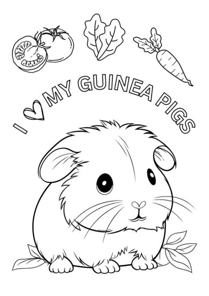 Do you cover a guinea pig’s cage at night?