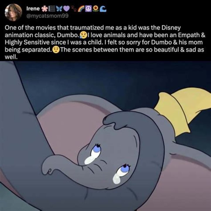Does Dumbo see his mom again?