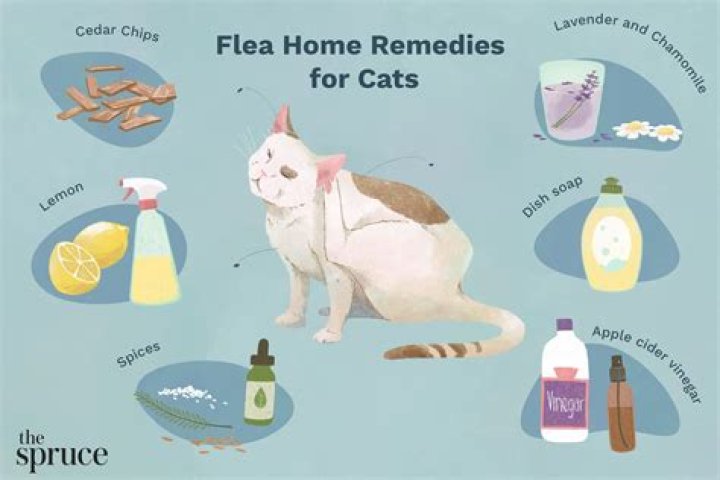 Does ivermectin kill fleas on cats?
