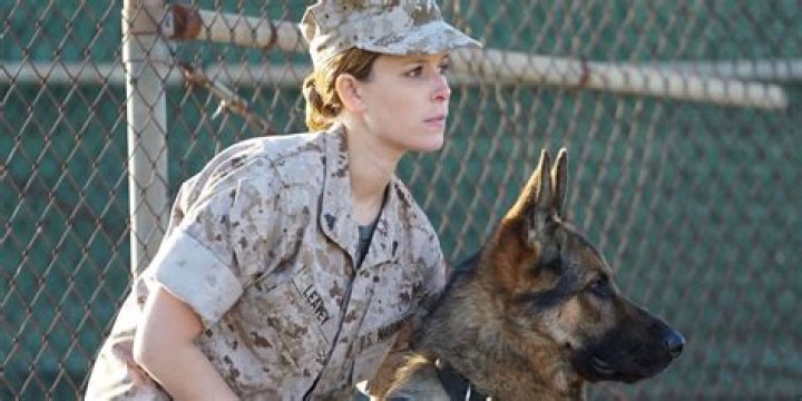 Does Rex live in Megan Leavey?