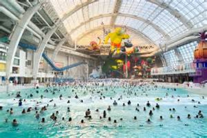 Does Rick Ross have the biggest pool in the US?