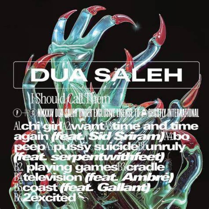 Dua Saleh Bio (Wiki) 