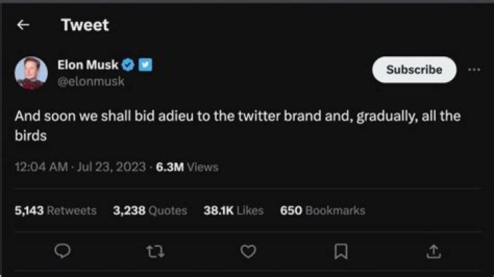 Elon Musk has changed Twitter’s name to ‘X’: how long will this stupid thing last?