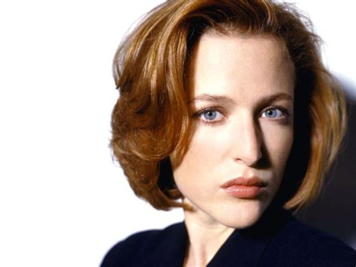 Gillian Anderson Bio (Wiki) 