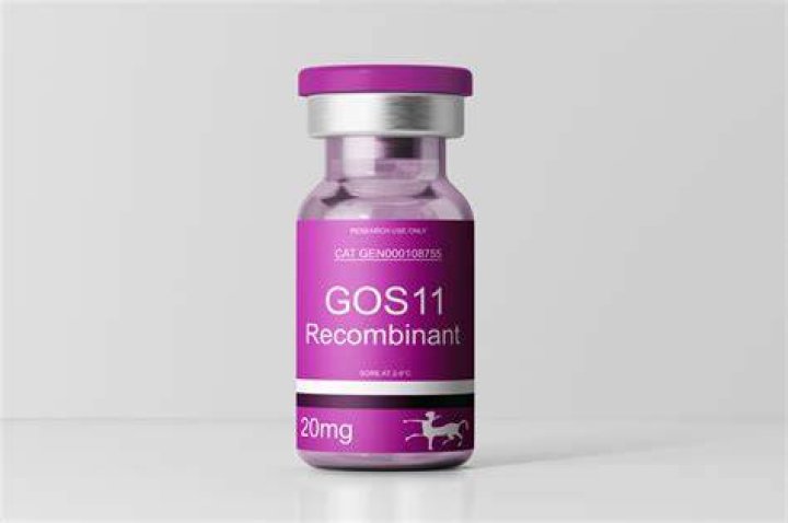 gos11 gos11