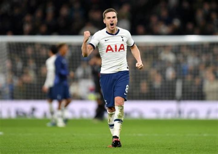 
Harry Winks Height, Weight, Net Worth, Age, Birthday, Wikipedia, Who, Nationality, Biography 