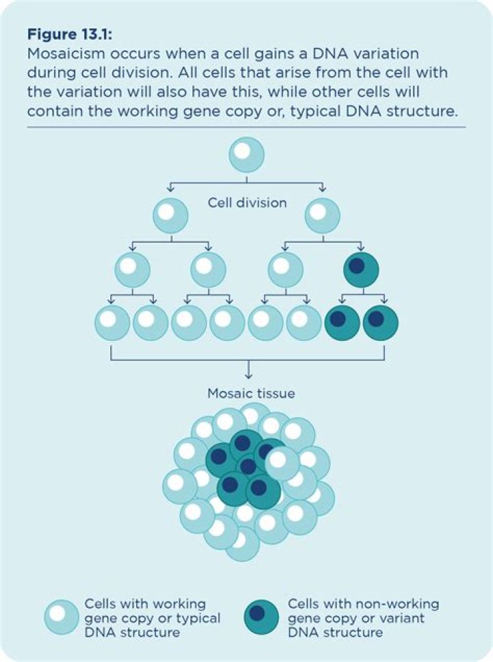 How common is mosaicism?