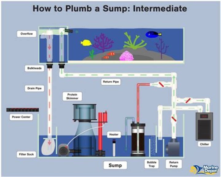 How do I setup my aquarium sump?