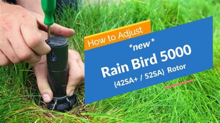 How do you adjust a Rainbird Falcon 6504?