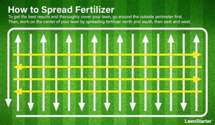 How do you fertilize your lawn with beer?