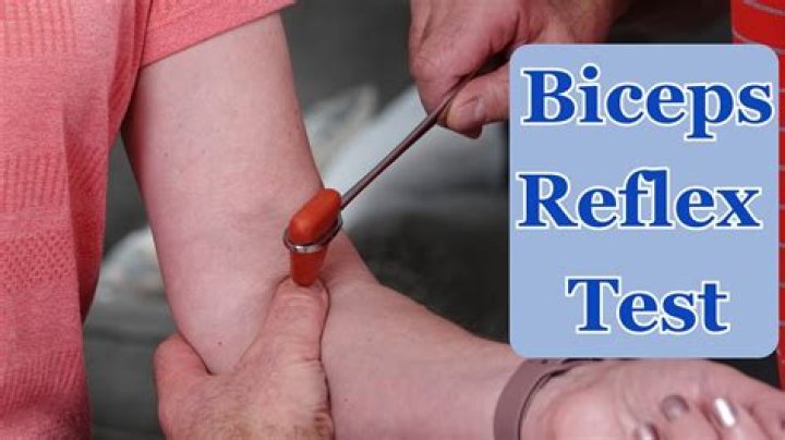 How do you test the biceps tendon reflex?