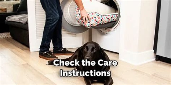 How do you wash a large Kong dog bed?