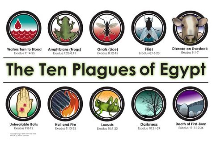 How long did the 10 plagues of Egypt take?