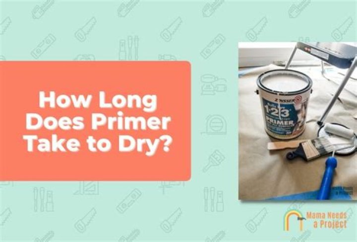 How long does Zinsser primer need to dry before painting?