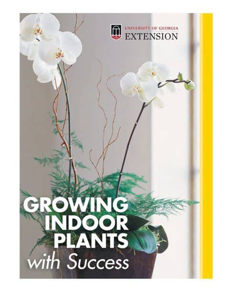 How many Kingsford plants are there?