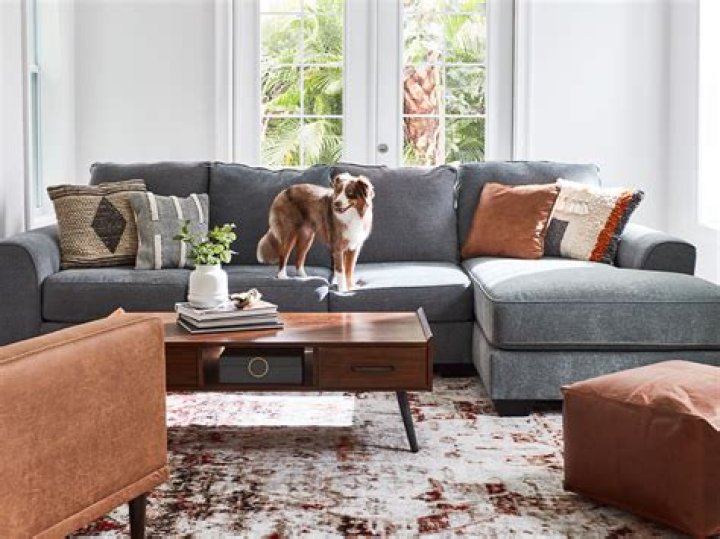 Is Ashley Furniture pet friendly?