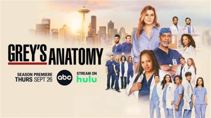 
Is Camilla Luddington Leaving Greys? What Happened To Jo Wilson On The Show? 