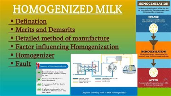 Is homogenized milk a solution?