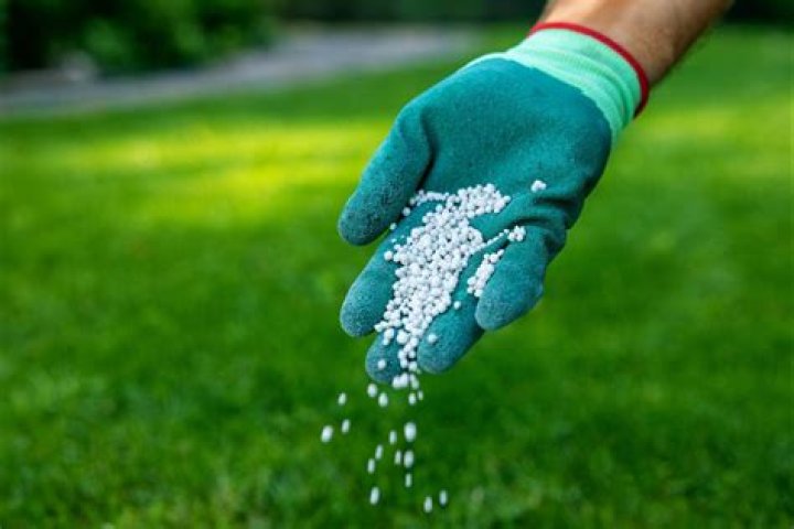 Is it too late to apply pre emergent?