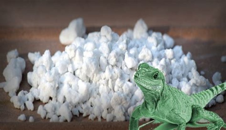 Is perlite safe for reptiles?