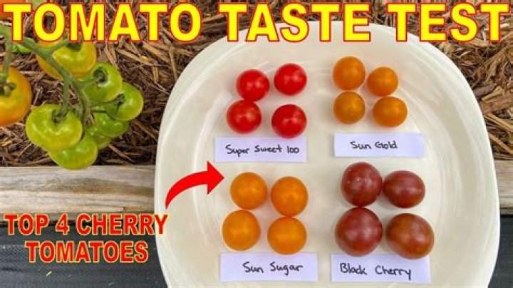 Is there sugar in cherry tomatoes?